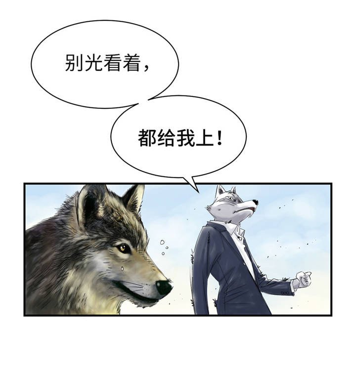 《都市兽种》漫画最新章节第35章：新兽种免费下拉式在线观看章节第【10】张图片