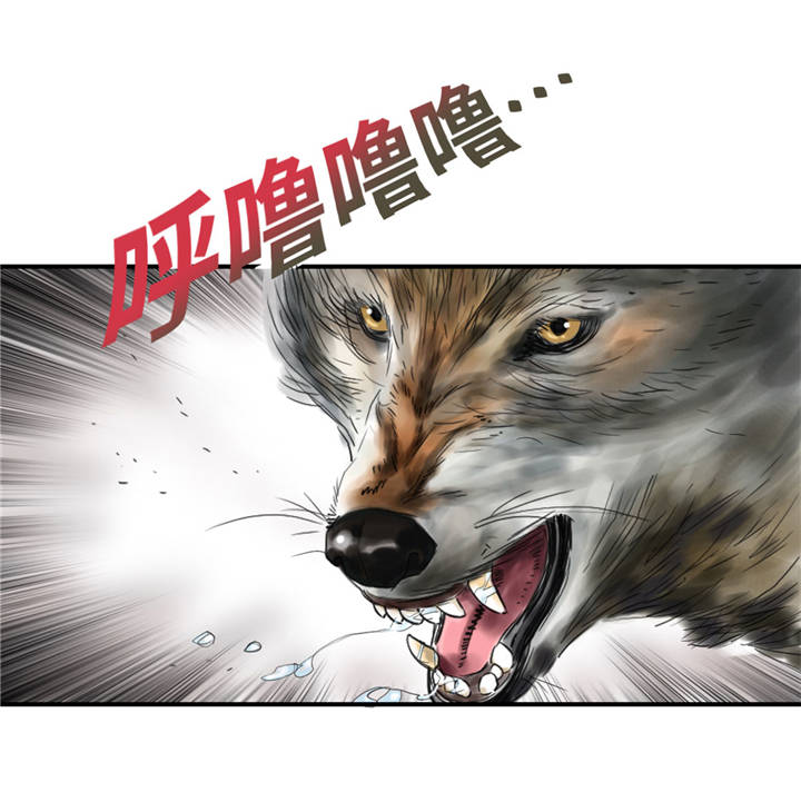 《都市兽种》漫画最新章节第35章：新兽种免费下拉式在线观看章节第【6】张图片