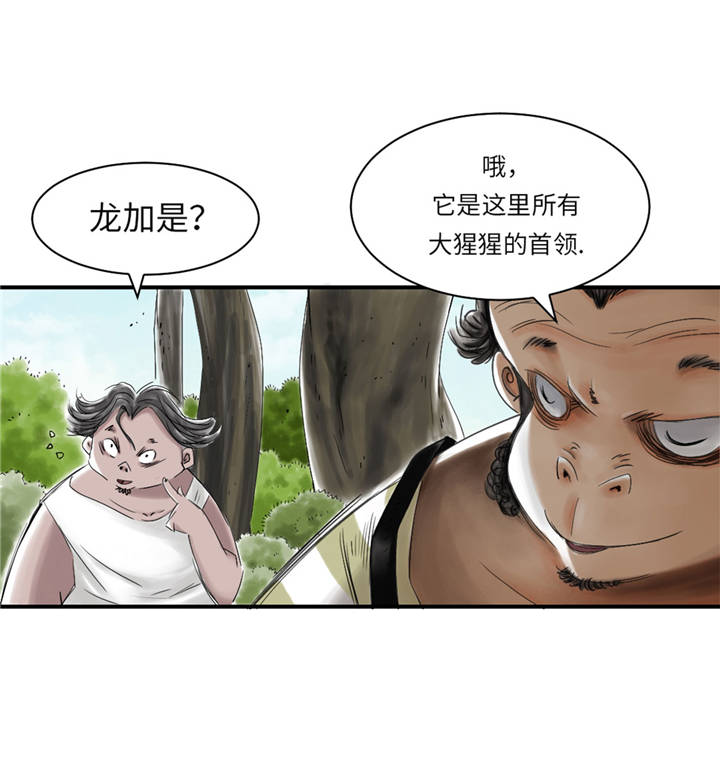 《都市兽种》漫画最新章节第36章： 能够帮得上忙的人免费下拉式在线观看章节第【8】张图片