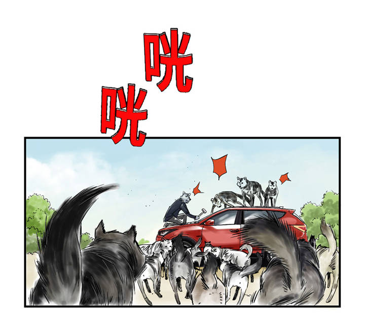 《都市兽种》漫画最新章节第37章：赌上警察生涯免费下拉式在线观看章节第【14】张图片