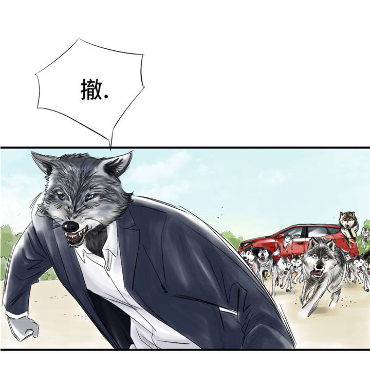 【都市兽种】漫画-（第37章：赌上警察生涯）章节漫画下拉式图片-25.jpg