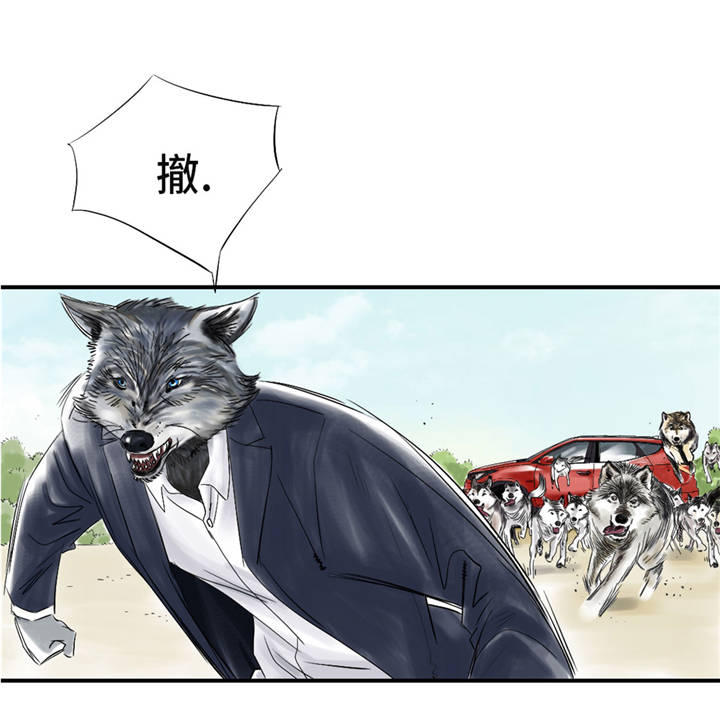 《都市兽种》漫画最新章节第37章：赌上警察生涯免费下拉式在线观看章节第【5】张图片