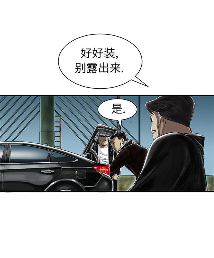 《都市兽种》漫画最新章节第51章：后备箱有东西免费下拉式在线观看章节第【18】张图片