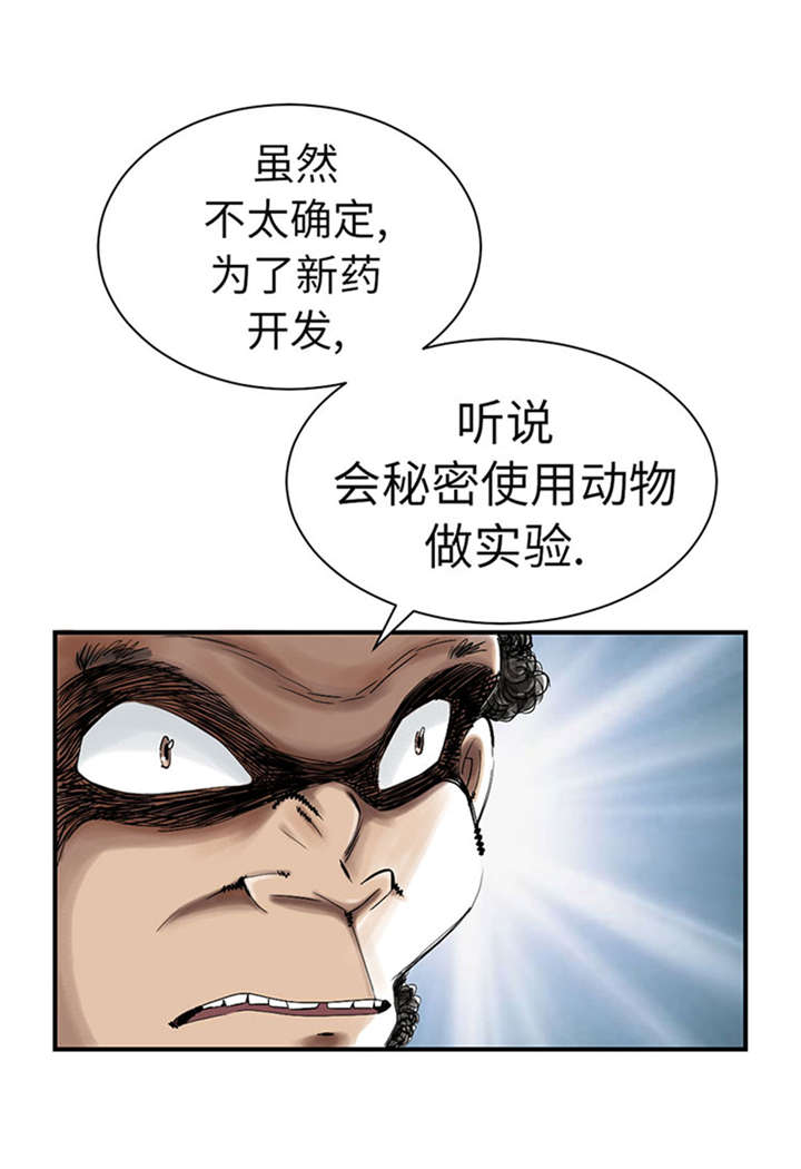 《都市兽种》漫画最新章节第52章： 惹恼了免费下拉式在线观看章节第【28】张图片