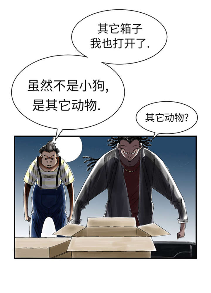 《都市兽种》漫画最新章节第52章： 惹恼了免费下拉式在线观看章节第【32】张图片