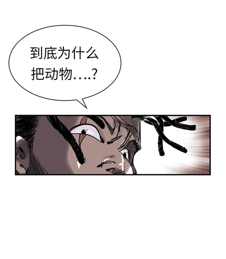 《都市兽种》漫画最新章节第52章： 惹恼了免费下拉式在线观看章节第【31】张图片