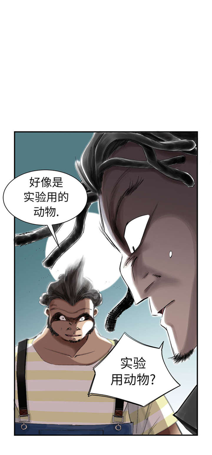 《都市兽种》漫画最新章节第52章： 惹恼了免费下拉式在线观看章节第【29】张图片