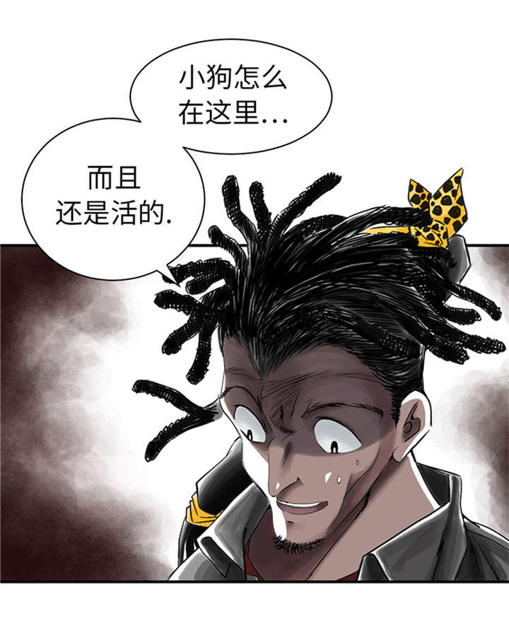 《都市兽种》漫画最新章节第52章： 惹恼了免费下拉式在线观看章节第【33】张图片