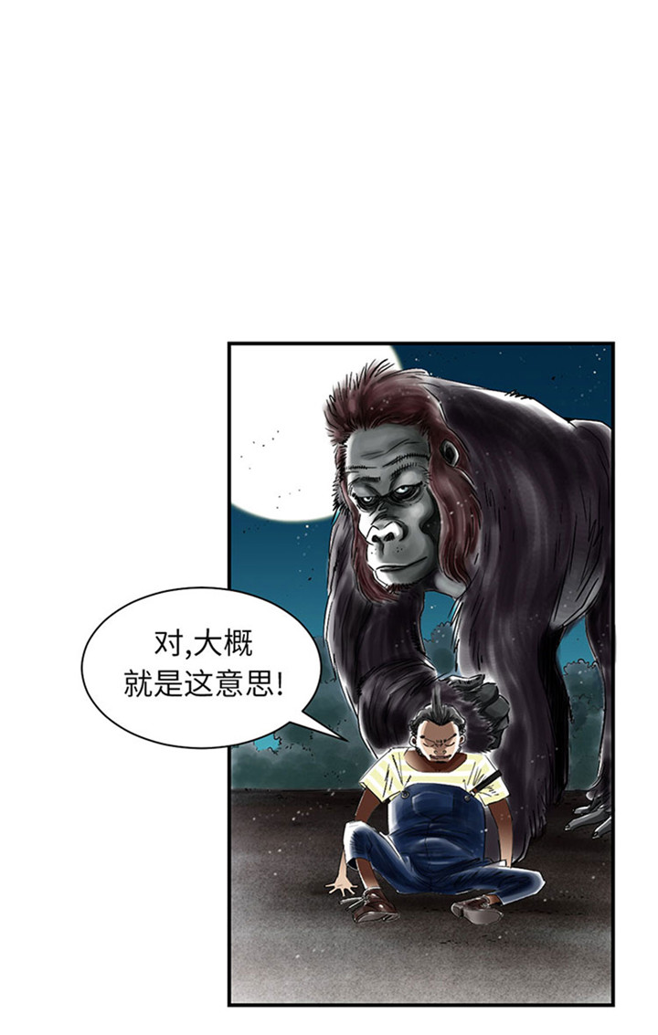 《都市兽种》漫画最新章节第58章：专属表演免费下拉式在线观看章节第【10】张图片