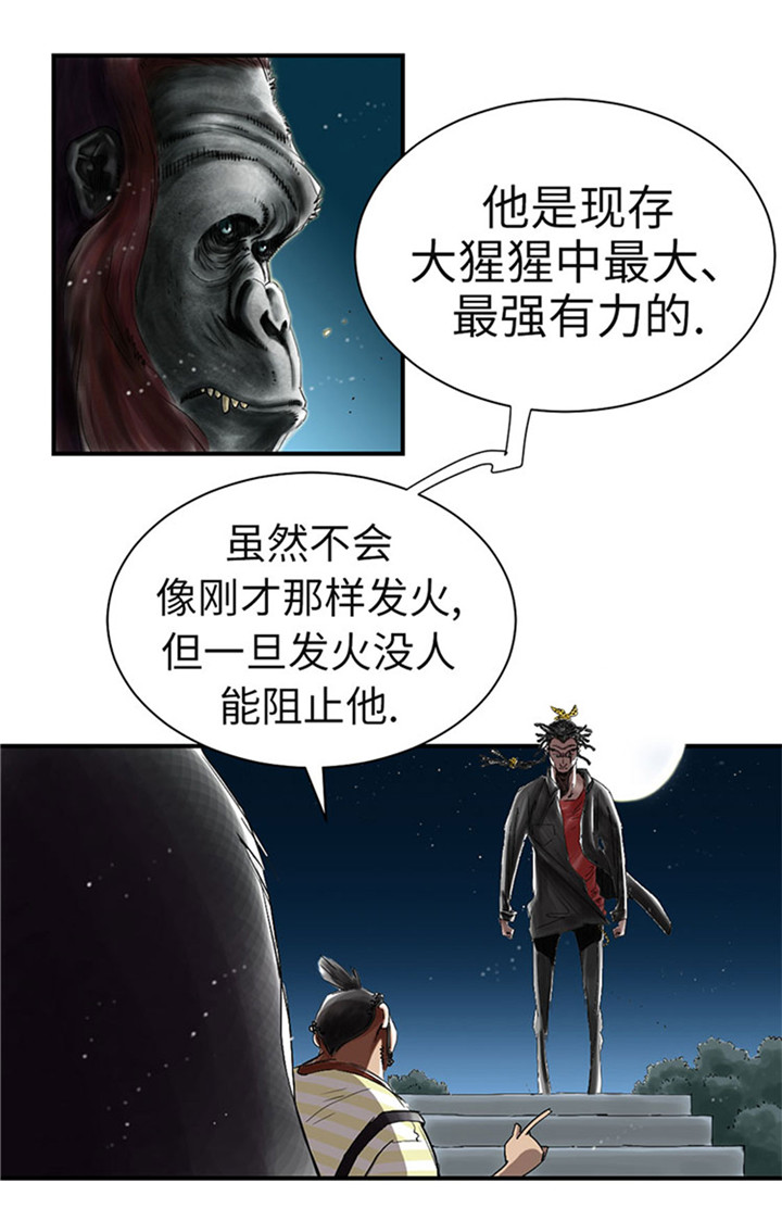 《都市兽种》漫画最新章节第58章：专属表演免费下拉式在线观看章节第【13】张图片