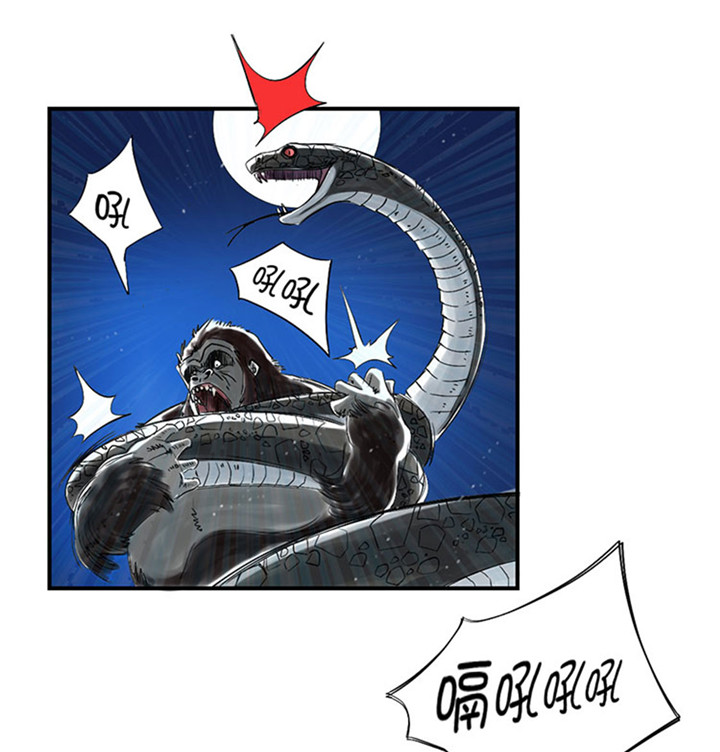 《都市兽种》漫画最新章节第59章：撕烂你的嘴免费下拉式在线观看章节第【20】张图片