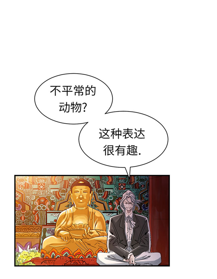 《都市兽种》漫画最新章节第62章：留言免费下拉式在线观看章节第【4】张图片