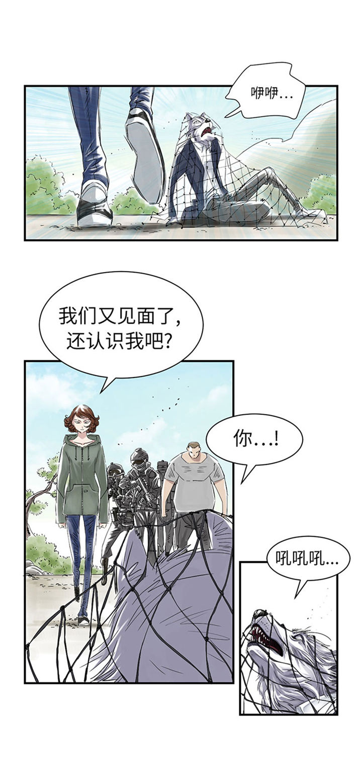 《都市兽种》漫画最新章节第66章：押回去免费下拉式在线观看章节第【4】张图片