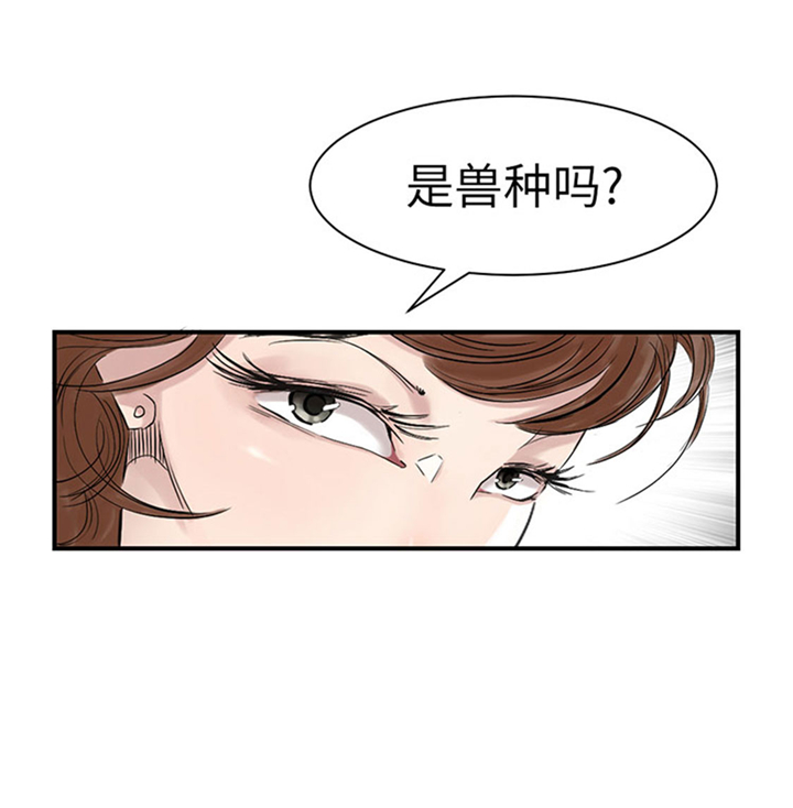 《都市兽种》漫画最新章节第71章：不知死活免费下拉式在线观看章节第【8】张图片