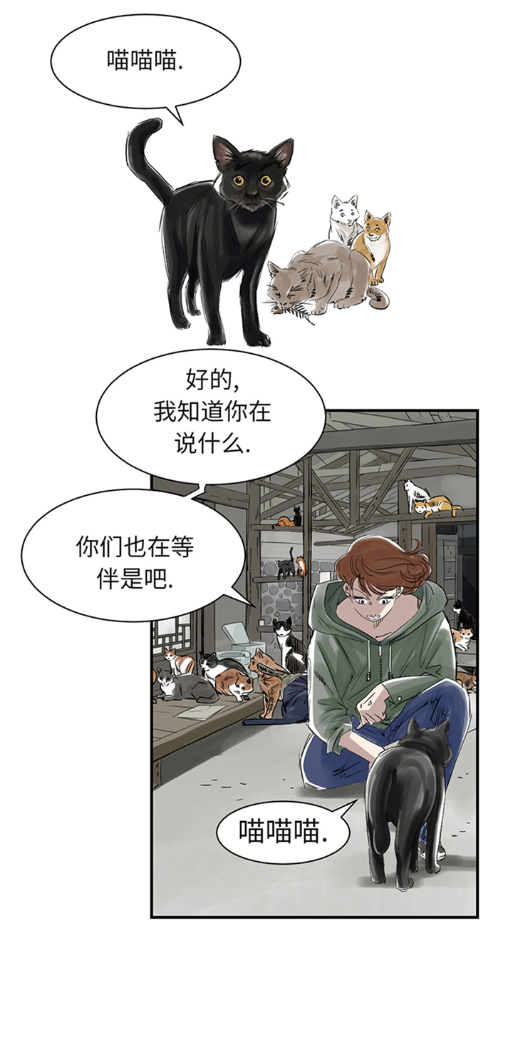 《都市兽种》漫画最新章节第78章：刺杀行动免费下拉式在线观看章节第【14】张图片