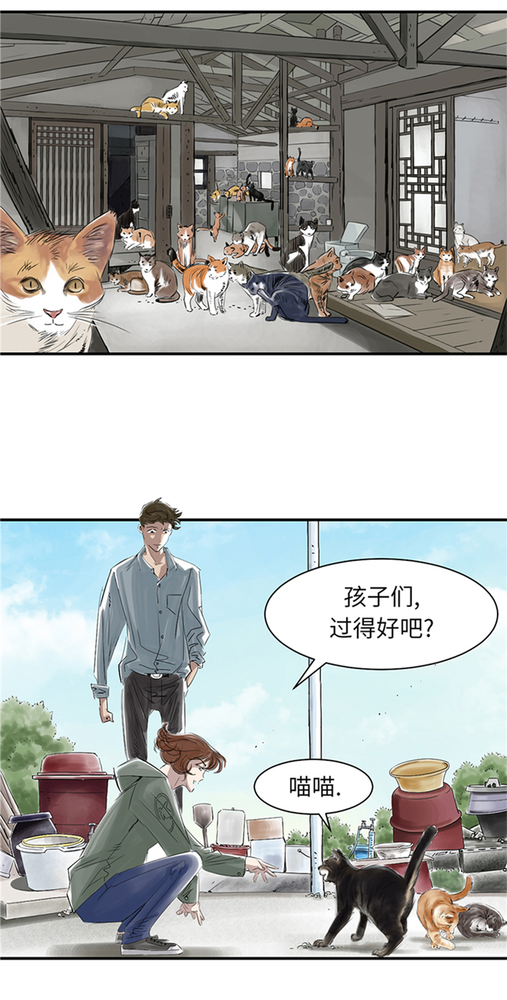 《都市兽种》漫画最新章节第78章：刺杀行动免费下拉式在线观看章节第【15】张图片