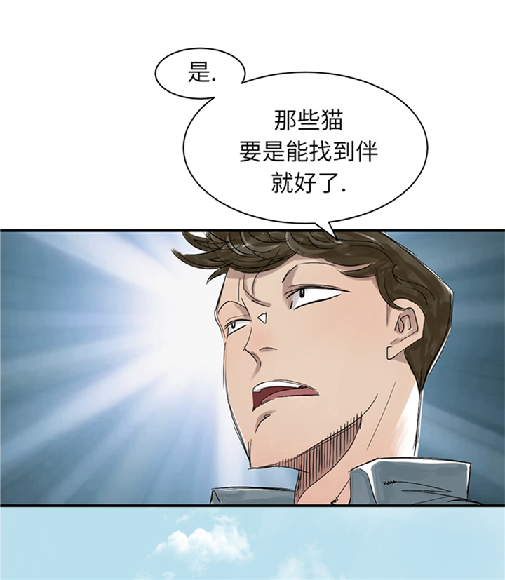 《都市兽种》漫画最新章节第78章：刺杀行动免费下拉式在线观看章节第【4】张图片