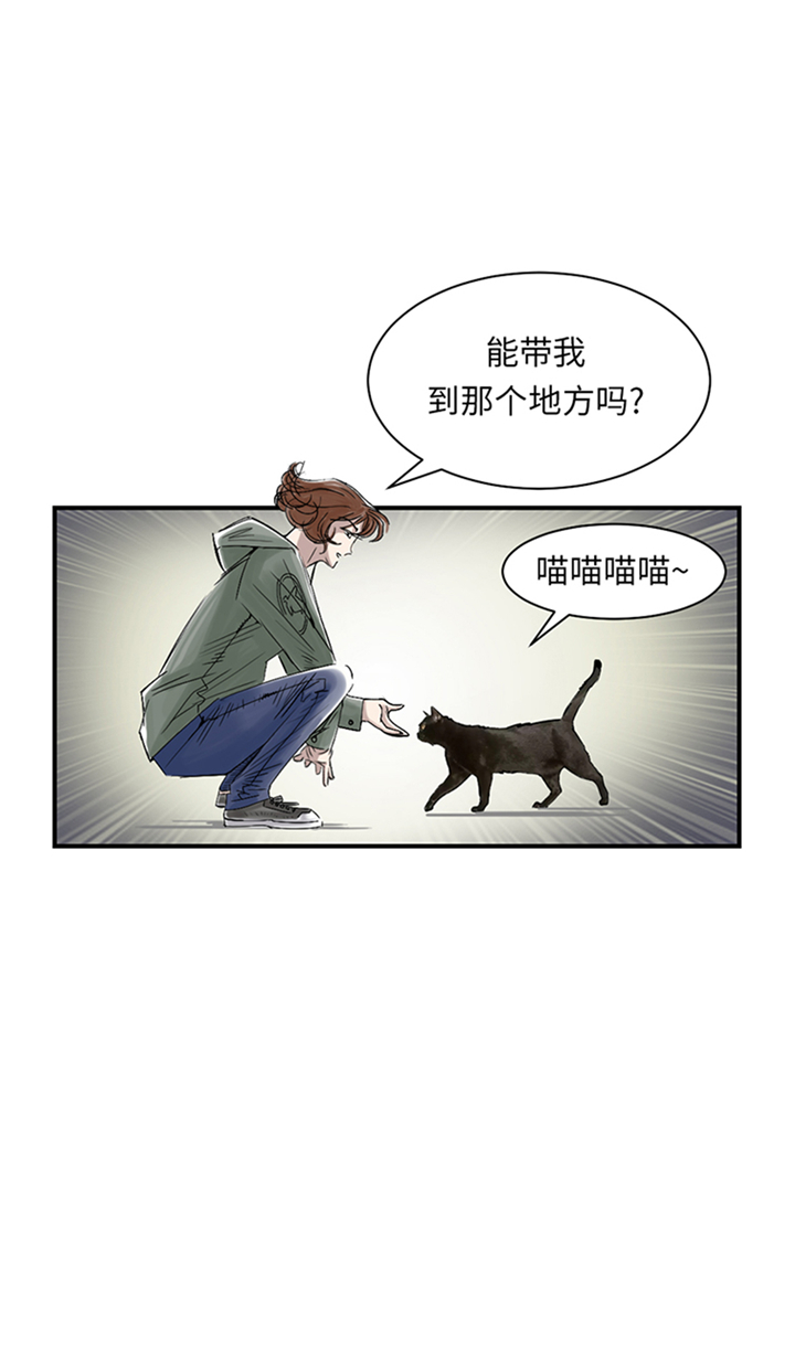 《都市兽种》漫画最新章节第86章：去哪儿了!免费下拉式在线观看章节第【23】张图片