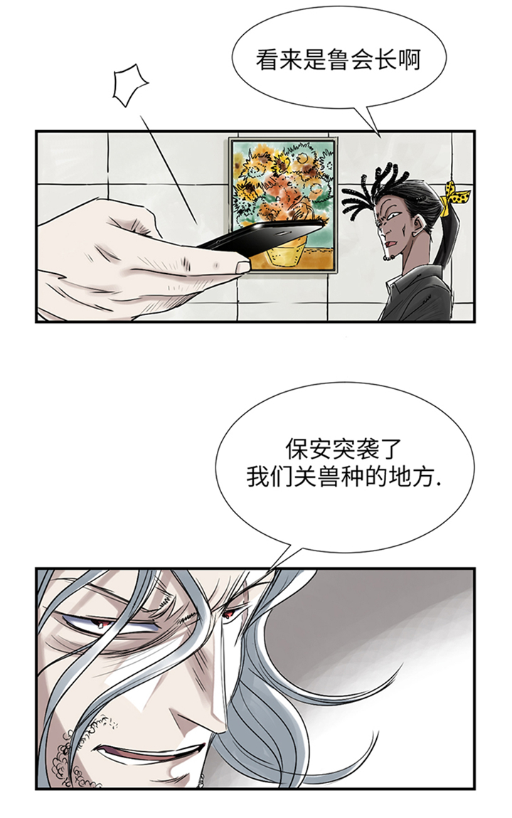 《都市兽种》漫画最新章节第87章：时机成熟免费下拉式在线观看章节第【6】张图片