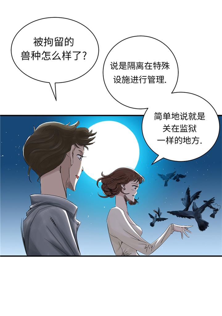 《都市兽种》漫画最新章节第94章：永不结束的战争(大结局)免费下拉式在线观看章节第【17】张图片