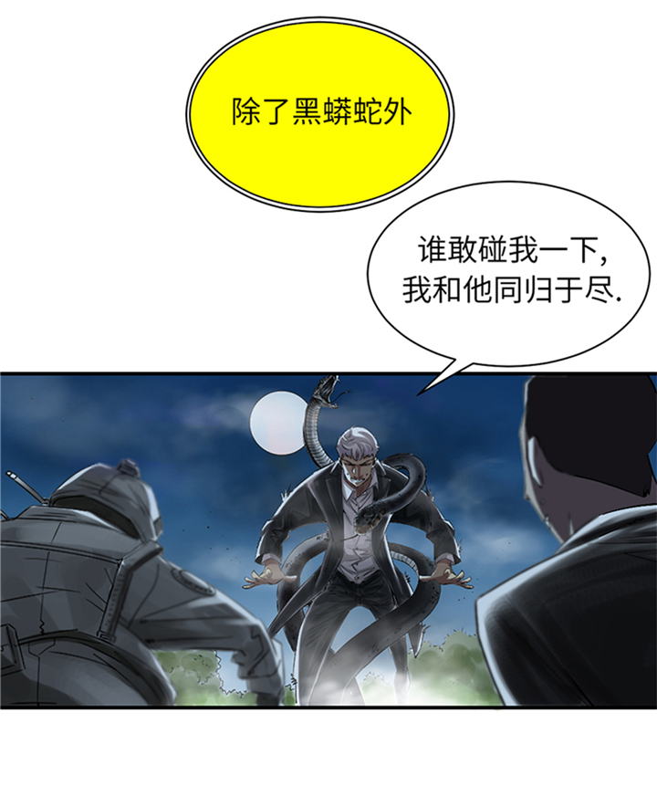 《都市兽种》漫画最新章节第94章：永不结束的战争(大结局)免费下拉式在线观看章节第【21】张图片