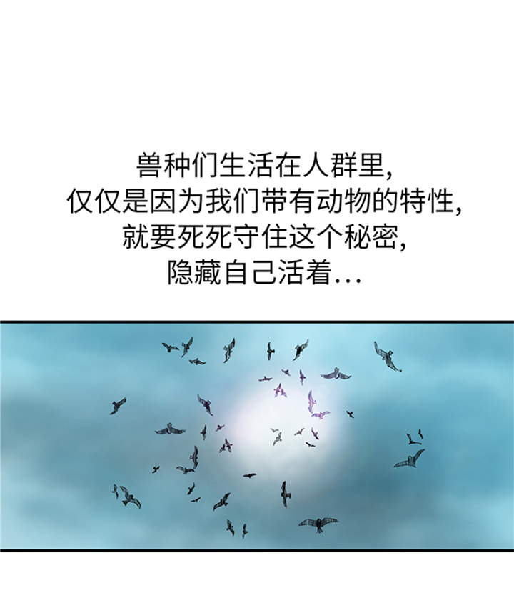 《都市兽种》漫画最新章节第94章：永不结束的战争(大结局)免费下拉式在线观看章节第【3】张图片