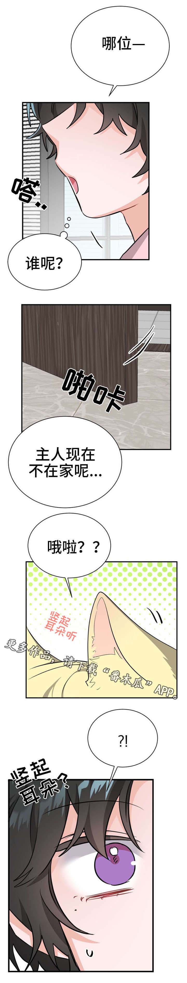 《机器人伴侣》漫画最新章节第15章：拜访者免费下拉式在线观看章节第【4】张图片