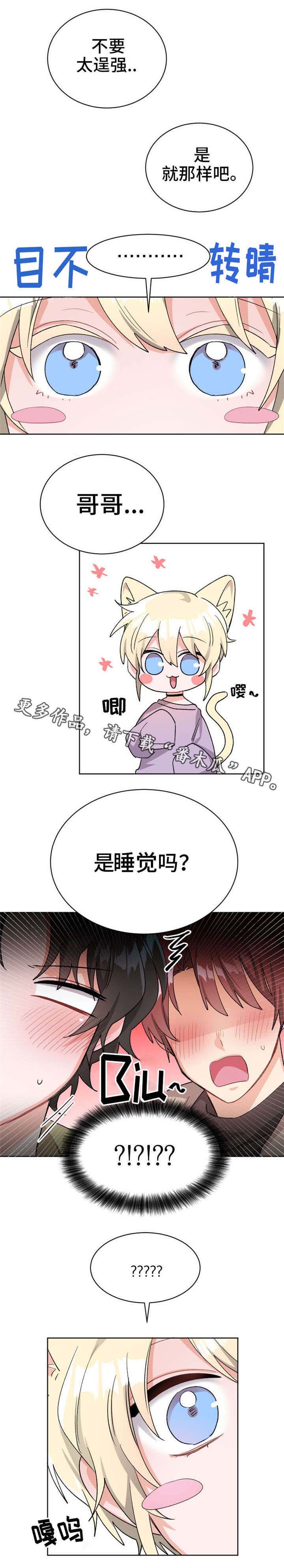 《机器人伴侣》漫画最新章节第20章：我的特长免费下拉式在线观看章节第【1】张图片