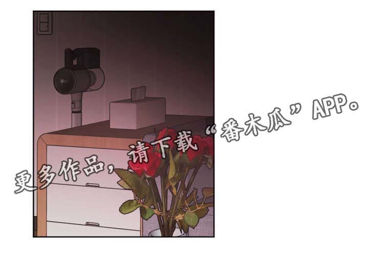 《机器人伴侣》漫画最新章节第21章：伙伴免费下拉式在线观看章节第【2】张图片