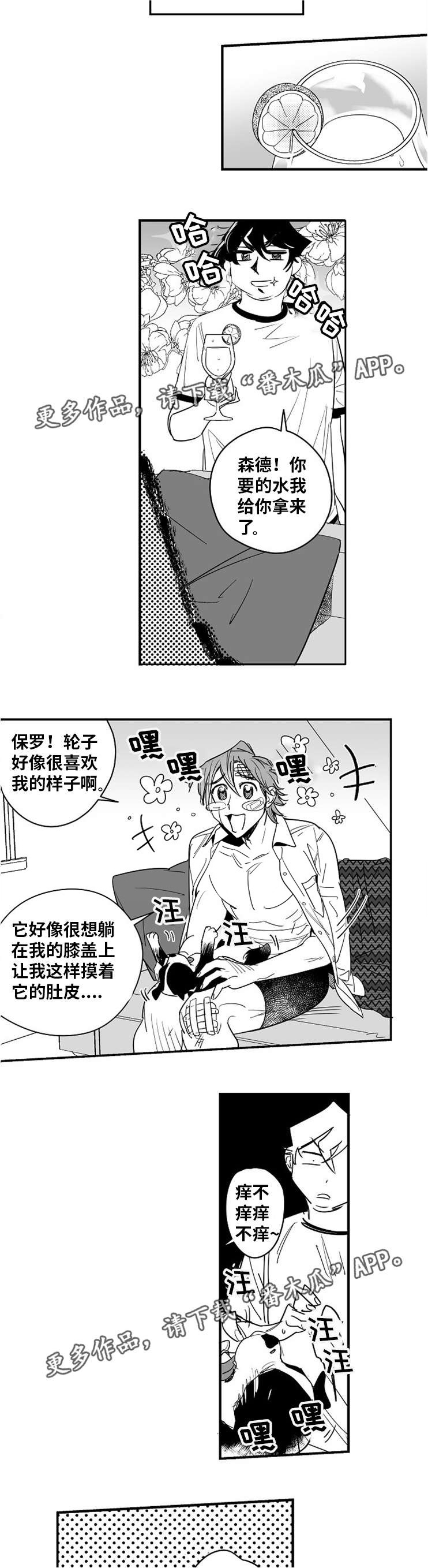 《直面告白》漫画最新章节第13章：因为喜欢免费下拉式在线观看章节第【13】张图片