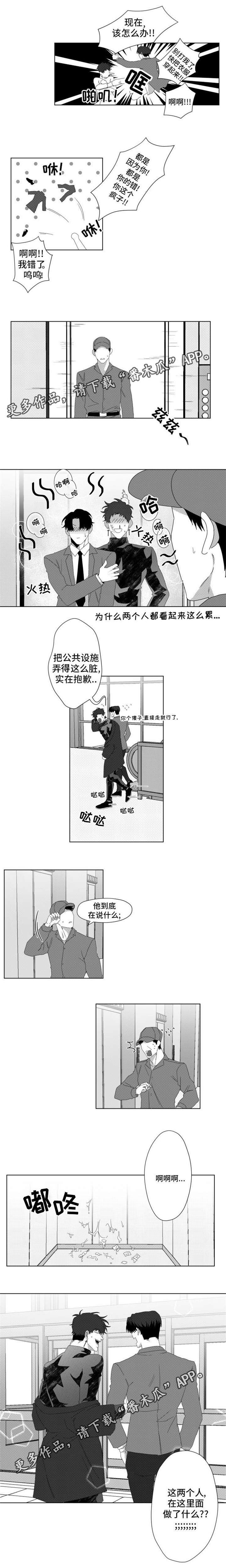 《危险计划》漫画最新章节第11章：都是因为你免费下拉式在线观看章节第【1】张图片