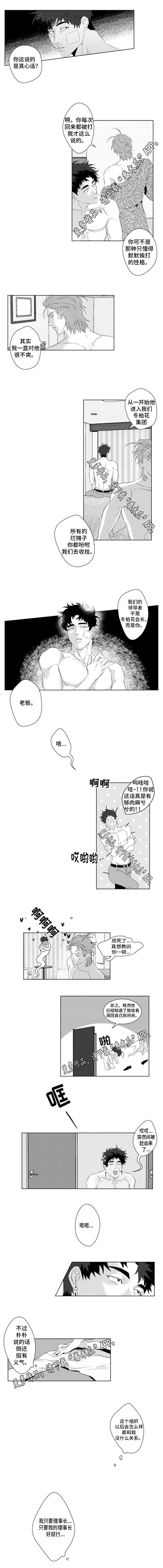 《危险计划》漫画最新章节第17章：因为我喜欢你免费下拉式在线观看章节第【2】张图片