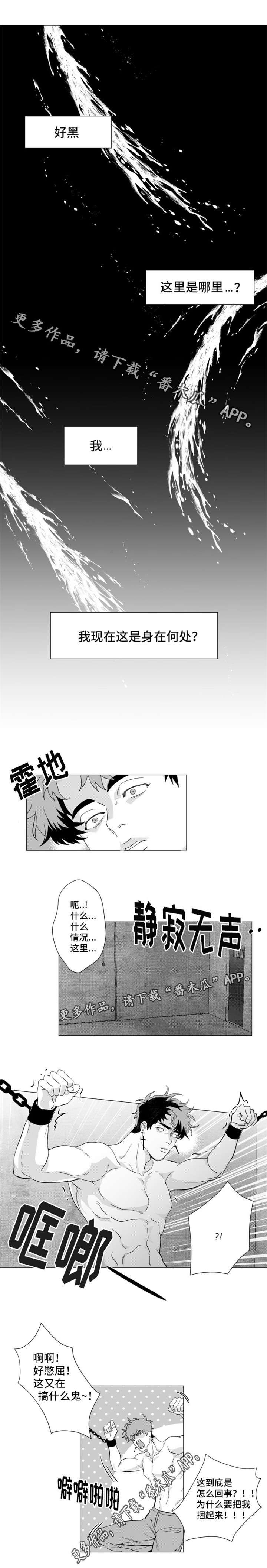 《危险计划》漫画最新章节第18章：我身在何处？免费下拉式在线观看章节第【5】张图片