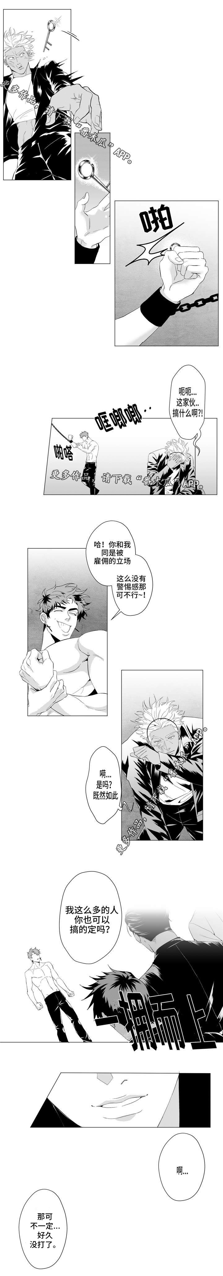 《危险计划》漫画最新章节第20章：你们要背叛组织吗？免费下拉式在线观看章节第【2】张图片