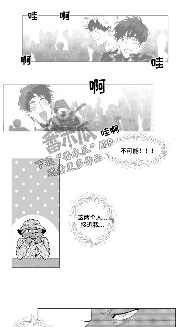 《危险计划》漫画最新章节第34章：绝对不可以免费下拉式在线观看章节第【2】张图片