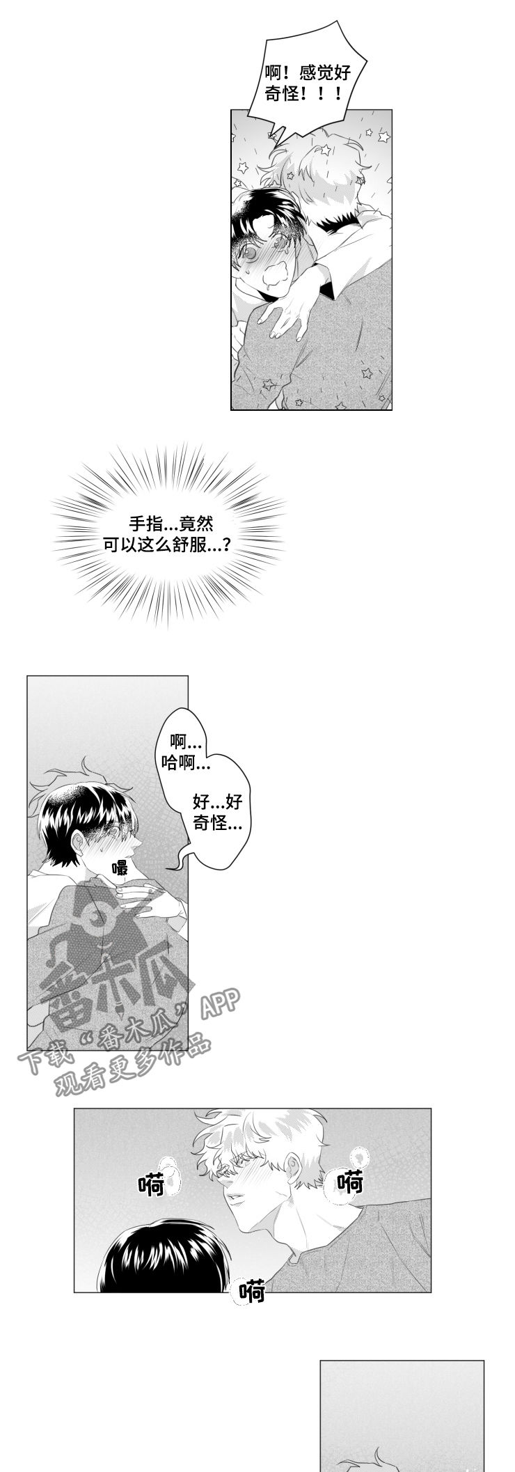 《危险计划》漫画最新章节第37章：回答我免费下拉式在线观看章节第【8】张图片