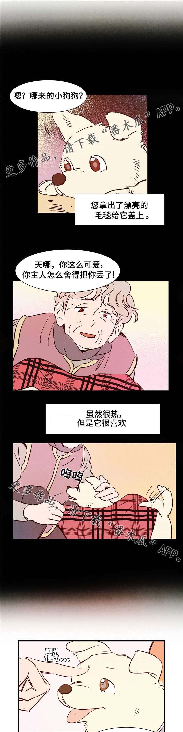 《寻鳞之旅》漫画最新章节第9章：遇见你之后免费下拉式在线观看章节第【2】张图片