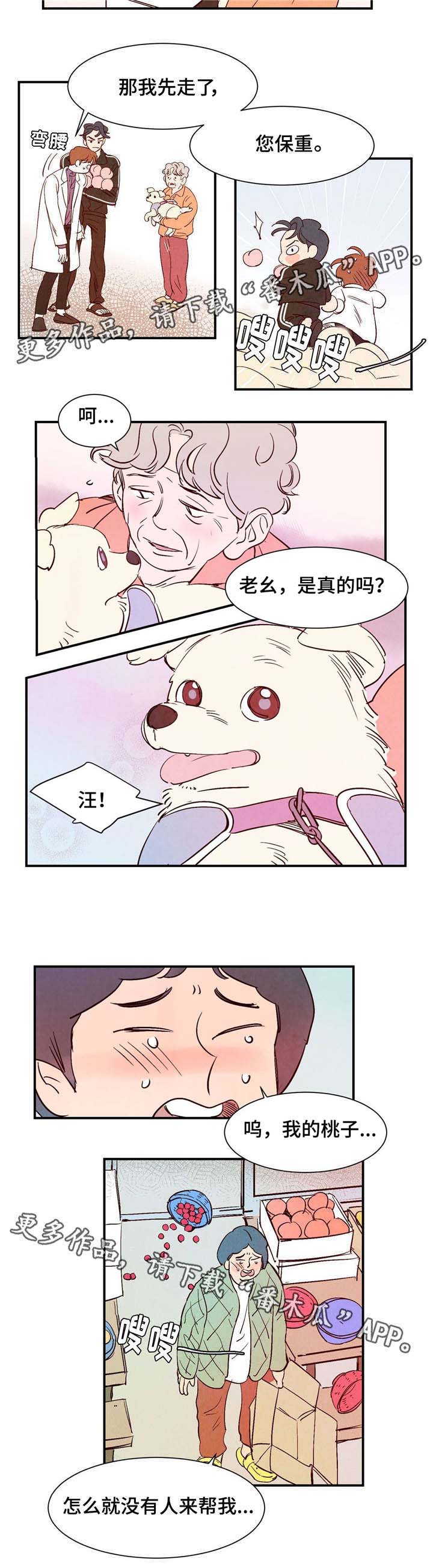 《寻鳞之旅》漫画最新章节第10章：交易免费下拉式在线观看章节第【6】张图片