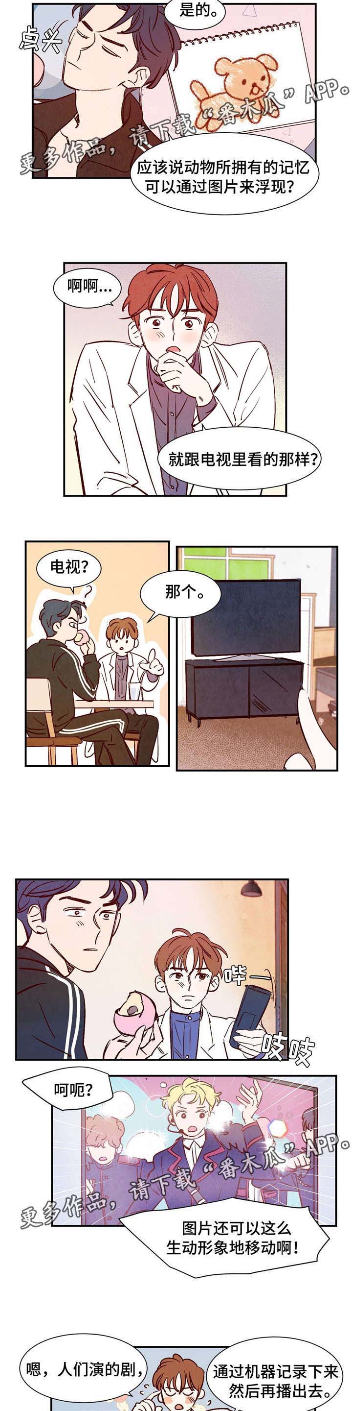 《寻鳞之旅》漫画最新章节第11章：你的功劳免费下拉式在线观看章节第【5】张图片