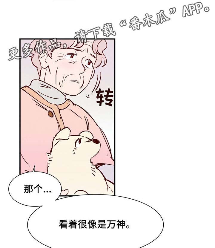 《寻鳞之旅》漫画最新章节第14章：万神免费下拉式在线观看章节第【6】张图片