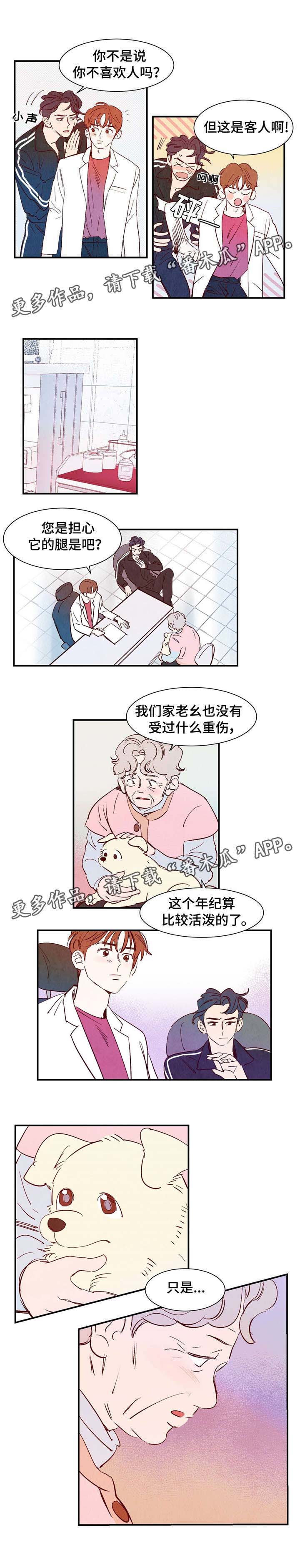 《寻鳞之旅》漫画最新章节第14章：万神免费下拉式在线观看章节第【7】张图片