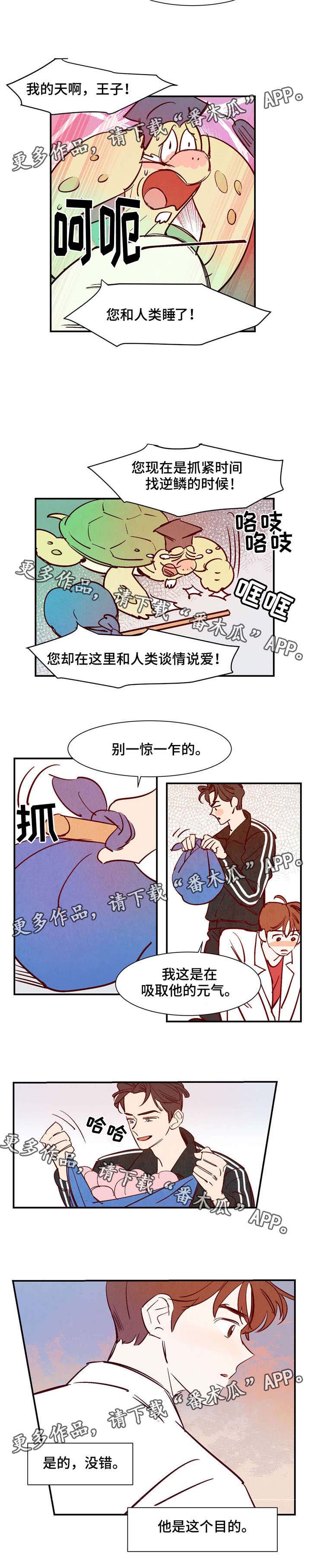 《寻鳞之旅》漫画最新章节第18章：会说话的乌龟免费下拉式在线观看章节第【2】张图片