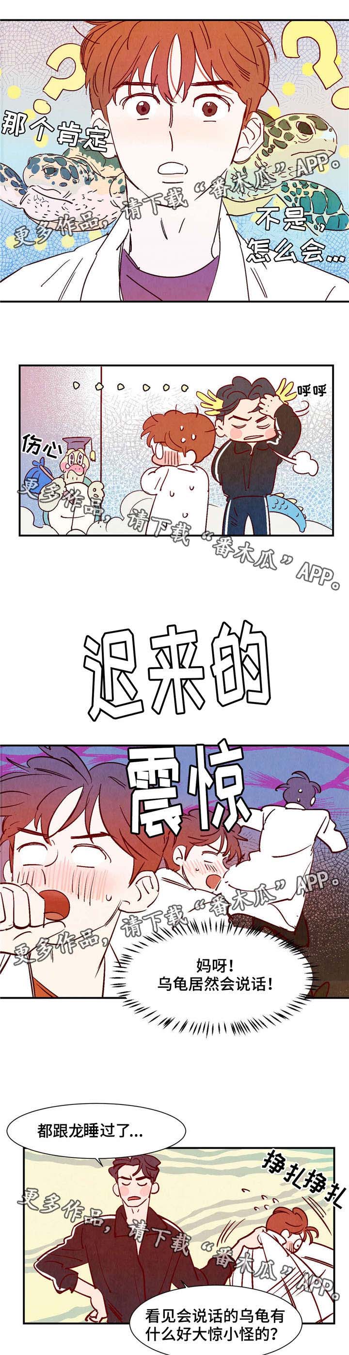 《寻鳞之旅》漫画最新章节第18章：会说话的乌龟免费下拉式在线观看章节第【3】张图片