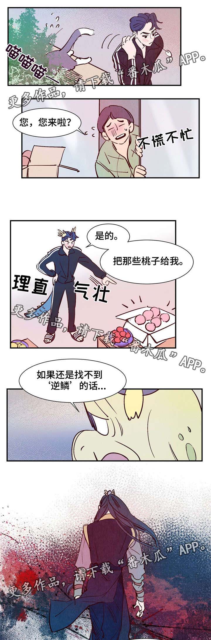 《寻鳞之旅》漫画最新章节第20章：逆鳞免费下拉式在线观看章节第【2】张图片