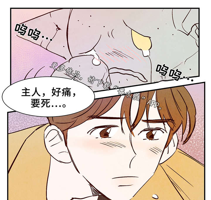 《寻鳞之旅》漫画最新章节第26章：泥人免费下拉式在线观看章节第【18】张图片