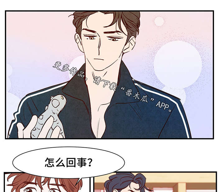 《寻鳞之旅》漫画最新章节第27章：喜欢上了吗？免费下拉式在线观看章节第【29】张图片