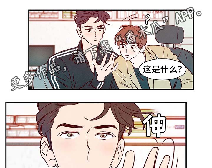 《寻鳞之旅》漫画最新章节第28章：转世投胎免费下拉式在线观看章节第【10】张图片