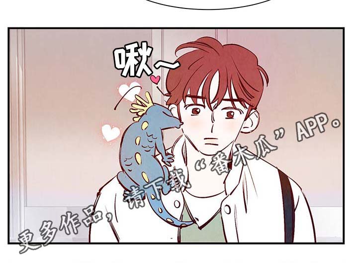 《寻鳞之旅》漫画最新章节第30章：电梯免费下拉式在线观看章节第【8】张图片