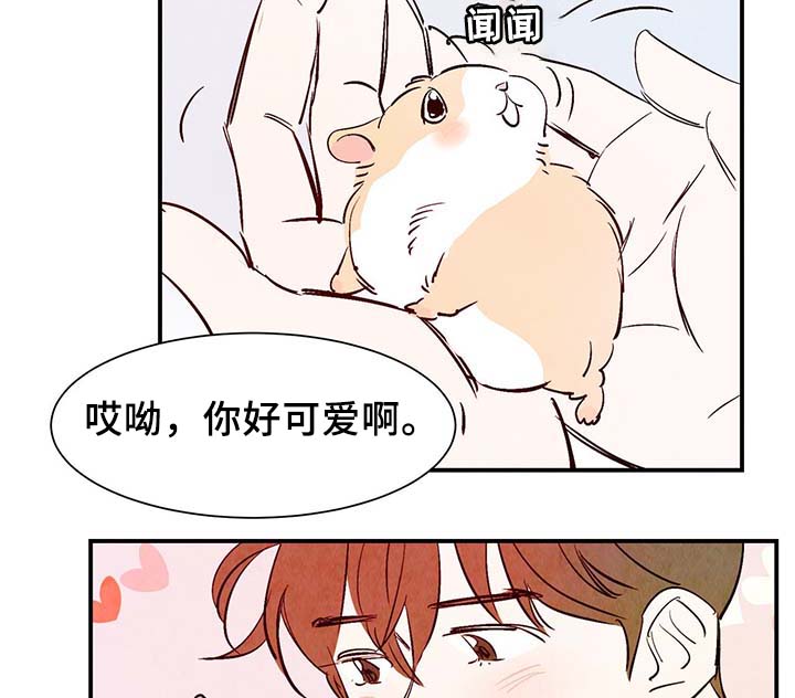 《寻鳞之旅》漫画最新章节第30章：电梯免费下拉式在线观看章节第【25】张图片