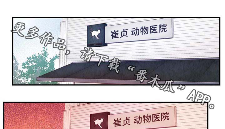 《寻鳞之旅》漫画最新章节第30章：电梯免费下拉式在线观看章节第【22】张图片